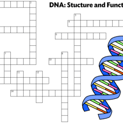 The a in dna crossword