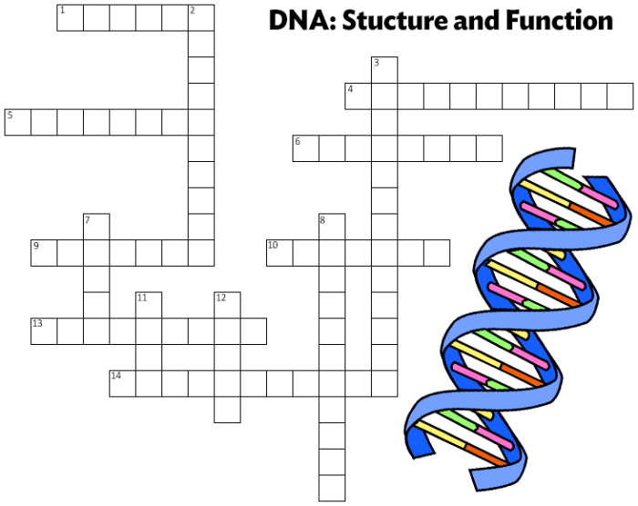 The a in dna crossword