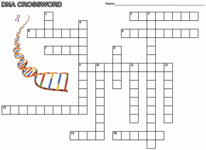 The a in dna crossword