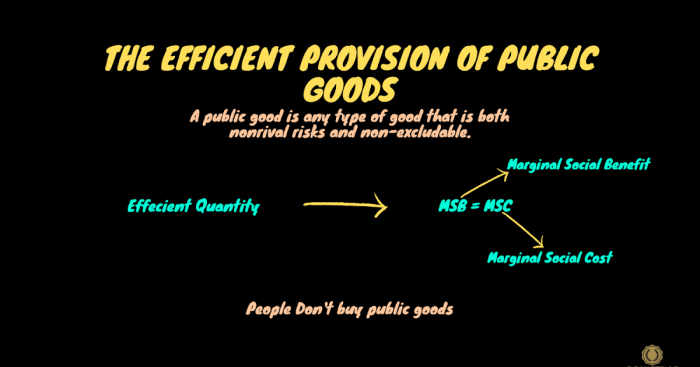 Good generates external production when solved supply curve costs transcribed problem text been show has firm private social