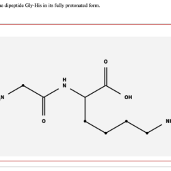 Draw the dipeptide gly gly the structure of glycine is