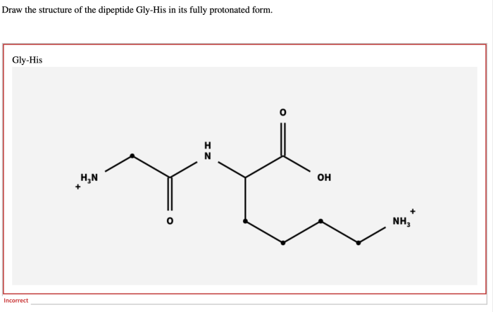 Draw the dipeptide gly gly the structure of glycine is