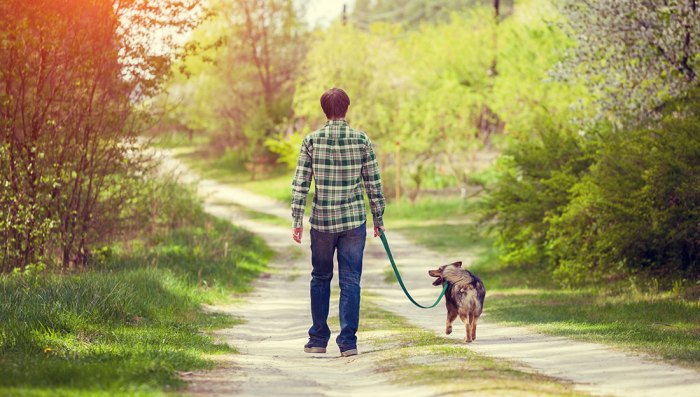 Walking exercise stroll daily ways healthier make istock milan health