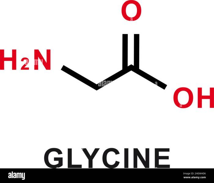 Draw the dipeptide gly gly the structure of glycine is