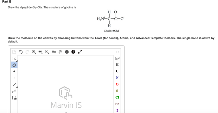 Draw the dipeptide gly gly the structure of glycine is